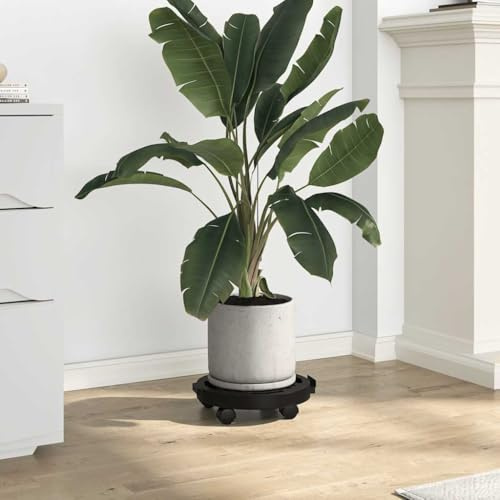 LoogCape Rodillo para plantas de 30 cm de diámetro, color negro, 170 kg, resistente a la intemperie, para jardín, balcón, terraza, interior, exterior, flexible movimiento de plantas
