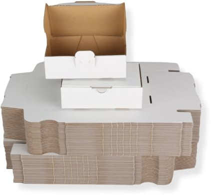 100 St. Maxibriefkarton 160 x 110 x 50 mm DIN A6 weiß Warensendung Faltkarton, Warenpost, Klappdeckelkarton
