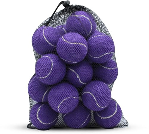 SHYUJAJIE Palline da tennis, confezione da 20 palline da tennis per allenamento, ad alta elasticità, per principianti, esercizio fisico per cani (viola)