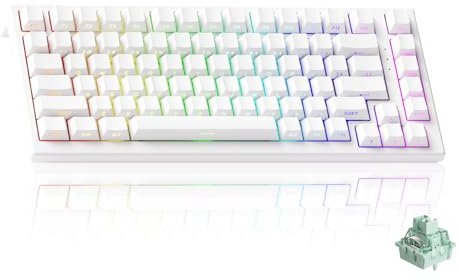 Akko TAC75 HE Gaming-tangentbord 8 kHz Rapid Trigger, 75 % trådbundet tangentbord med Hall-effekt och magnetbrytare, justerbar aktivering, Snap Tap, ARGB (genomskinlig vit, Glare Magnetic Switch)
