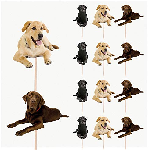 AK Giftshop Labradors Laying Dogs Birthday Party Food Cupcakes Picks Decorations Toppers (Pack of 14)