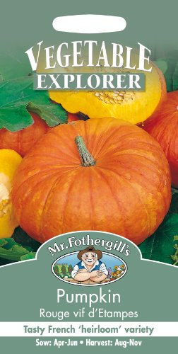Mr Fothergill's 21019 Vegetable Seeds, Pumpkin Rouge VIF d'Etampes