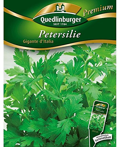 Quedlinburger Petersilie 'Gigante d´Italia', 1 Tüte Samen