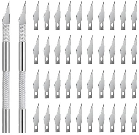HABNI 2 Pezzi Coltello di precisione per l'artigianato, Coltello per Intaglio, Coltello per dissezione di precisione, 40 Lame di Ricambio (Argento)