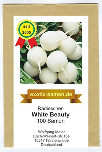 Radies, Radieschen - White Beauty - 100 Samen