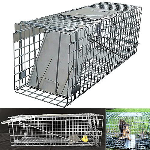 Squirrel/Rat Trap, Heavy Duty Metal Cage for Small Wildlife, Humane Live Catch Vermin Large Pest Animal Bait Cage Catcher, Use Outdoors and Indoors, Long Lasting Reliable Reusable, 61 x 19 x 21cm