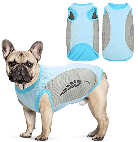 Hundekühlweste,Sommer Cool und Bequem Hundemantel Atmungsaktiv Mesh Hundejacke mit Reflektorstreifen,Leichte Hunde-EIS-Kühlung T-Shirts für kleine bis mittelgroße Hunde (L, Blau)