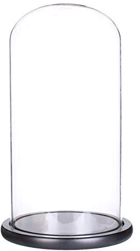 Campana de cristal hecha a mano con elegante base de madera negra (15 cm x 35 cm) muestra tus tesoros con estilo