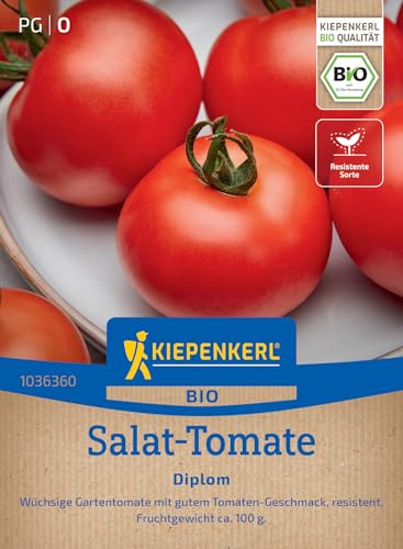 Kiepenkerl Salat-Tomatensamen Diplom 1036360, Gemüsesaat | Aroma, aromatisch, für Freiland, Gewächshaus & Topf