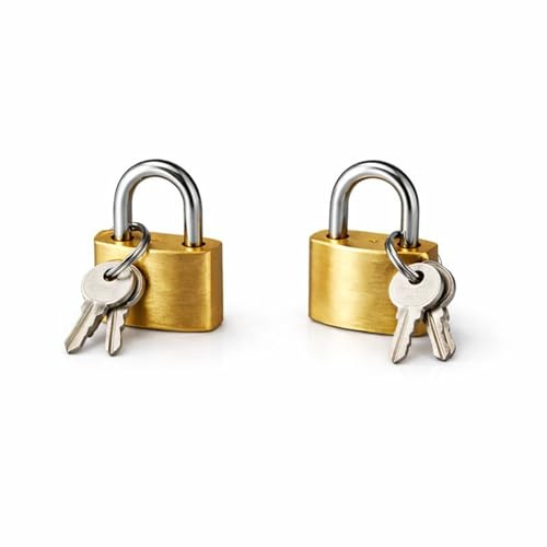 PARENCE – Lot de 2 Petits Cadenas avec 2 Clés chacun – Idéal pour Casiers de Collège, Vestiaires, Tiroirs, Boîtes de Rangement – Corps Métal – Usage Quotidien