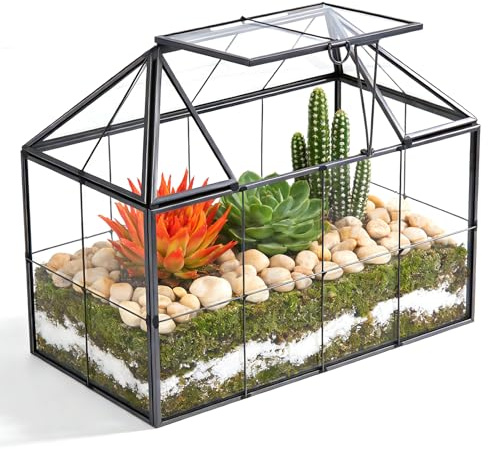 Mini invernadero para balcón, 23 x 13,5 x 18,5 cm, cristal pequeño, para plantas (sin plantas), mini terrario geométrico para plantas de cristal con tapa para suculentas, cactus interiores (negro)