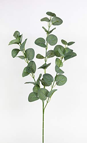 Seidenblumen Roß Eukalyptuszweig 70cm grün ZF Kunstzweig künstliche Zweige Kunstpflanzen künstlicher Eukalyptus