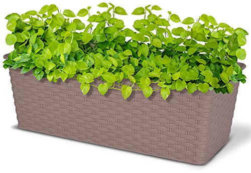 Albert Austin Rectangle Rattan Planter 30cm, Outdoor Plants Pot, Large Garden Planters, Plastic Resistant and Elegant (SAND)