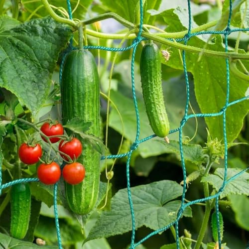 Ranknetz mit großer Maschenweite – 2m x 2,5m Rankhilfe für Gurken, Tomaten Kletterpflanzen-Netz für ertragreiche Ernte im Garten, Gewächshaus & Balkon