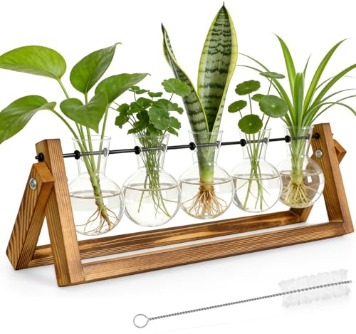 BOBILIFE Hydrokultur Glas Vase Kit, Hydrokultur Pflanzen Vermehrungsstation, inklusive 5 Glaskugeln, Retro-Holzständer und Metalldrehständer, geeignet für Hydrokultur-Pflanzenwachstum（Keine Pflanzen）