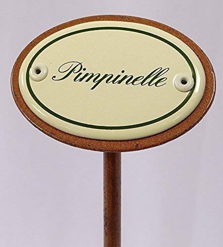 Kräuterschild Kräuterstecker Emaille, Pimpinelle, Erdspieß 25 cm