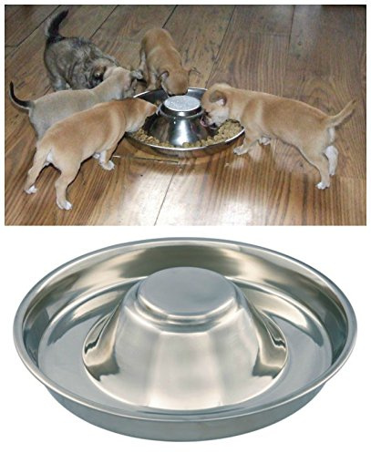 Kabalo Acier inoxydable chiot, chat, chien et l'alimentation pour animaux de compagnie et le sevrage bol d'alimentation