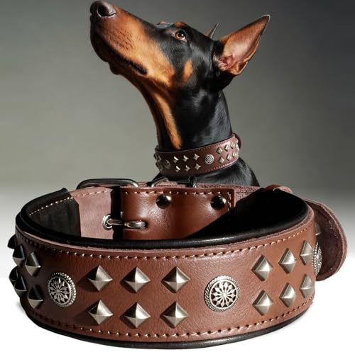 EliteGuard Hundehalsband Leder, 5,6 cm Breit, Braun, S | Robustes Echtes Lederhalsband, Mit Nieten Und Edelstahlschnalle, Für Den Täglichen Gebrauch Bei Großen Hunden, 42,5-52,5 cm