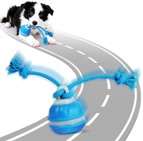 AOOHA Palla per Cani Interattiva,Pallina Ricaricabile USB Che Si Muove da Sola,Wicked Ball Air Self Moving Dog Ball per Cani e Gatti di Piccola Taglia