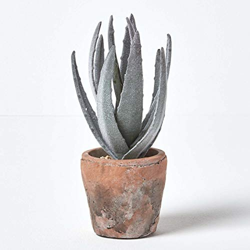 HOMESCAPES Lifelike Artificial Succulent Aloe Vera Plant In Brown Terracotta Pot, 21cm Tall Lifelike Decorative Artificial Potted Plant for Indoor Use