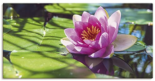 ARTLAND Wanddeko Leinwand Bilder Wandbild Zen Garten Pflanzen Blumen Blüte Seerose Teich See Natur U2AE