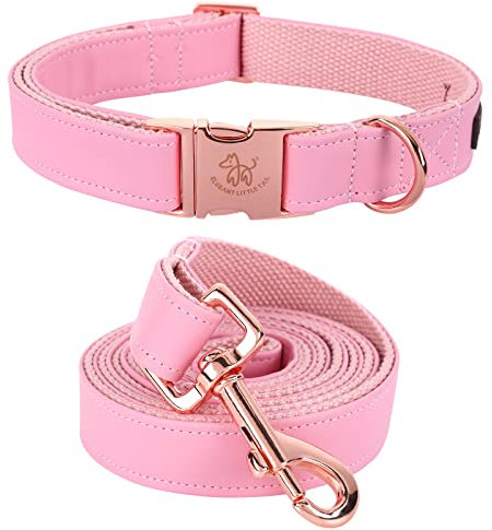 Elegant little tail Hundehalsband und Leine aus Leder, strapazierfähiges Hundehalsband, Haustierhalsband für Mädchen oder Jungen, verstellbares Hundehalsband für X-Small-Welpen