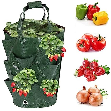 BBTISG 2 Stück Hängende Blumen und Pflanzenbeutel, Erdbeerbeutel Hängende Pflanztasche Hängende Gemüseblume Pflanzsack mit Löchern für Erdbeer & Tomaten (grün)