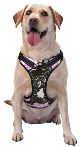 Französische Bulldogge Welpe, Haustiergeschirr, Verstellbares reflektierendes Hundegeschirr, Haustierleinenweste,M