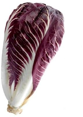 100 semi di ortaggi di indivia viola