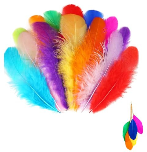 Wcawnlt 500 Stück Bunte Federn Federn zum Basteln Natürliche Bastelfedern 5-8cm Deko Ostern Halloween Traumfänger Party Hochzeit DIY Kostüme Bastelprojekte