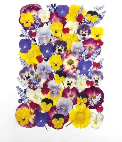 70 flores prensadas secas comestibles para decoración de pasteles, mezcla de rosas naturales, viola y caléndula y lavanda, seguras para alimentos para joyas de resina, fabricación de velas, popurrí