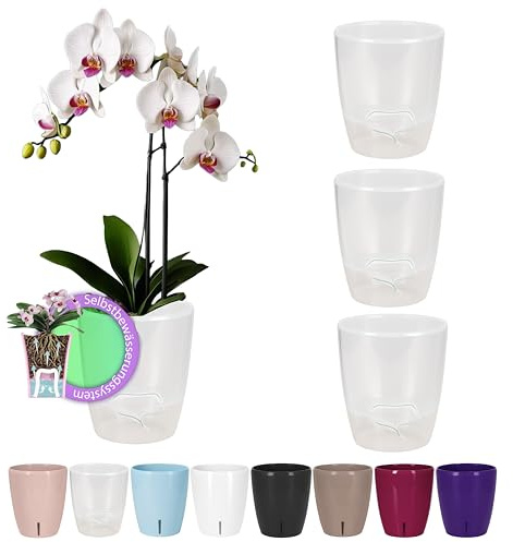 Santino Självvattnande orkidékrukor i set om 4 st, kruka med veksystem och vattennivåindikator för inomhusbruk, diameter 16,5 cm (transparent – 3,3 l)