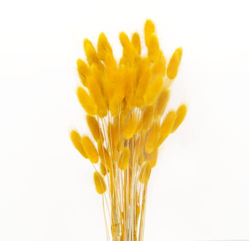 JKDHJK 50 Tallos Pampas Flores Secas Naturales Super Fluffy para Decoración de Hogar, Boda y Manualidades (Mostaza Amarilla)