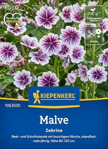 Kiepenkerl Malvensamen Zebrina 1063500, Blumensaat | Höhe 80-120 cm