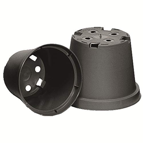20 Rundtöpfe Ø 11 x 8,5 schwarz Göttinger Pflanztöpfe Pflanzkübel Blumentöpfe