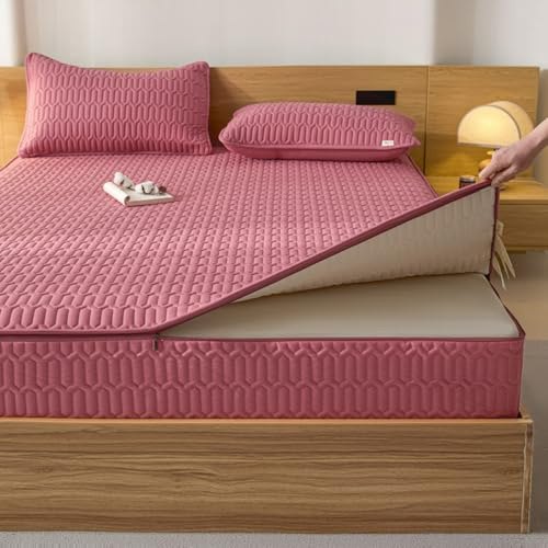 Coprimaterasso Matrimoniale con Cerniera 140/160X200 Fodera per Materasso Singolo/Una Piazza E Mezza Trapuntato Rivestimento Proteggi Sacco Materasso con Zip Sfoderabile Lenzuolo (170X200+17cm,D)