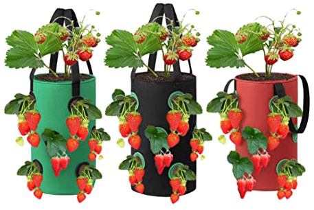 Hperu Vaso per fragole, sacchi per coltivazione da 3 galloni con 12 fori e manici per piantare, vasi in tessuto per la coltivazione di fragole, verdure ed erbe aromatiche e traspirante