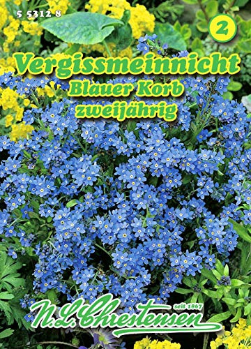 Myosotis sylvatica, Vergißmeinnicht, Blauer Korb blau N.L.Chrestensen Samen