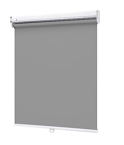 DZHTUF Rollos für Fenster,100% Verdunkelungsrollo,20/28/43/47 in,Einziehbar Gardinen,hellgrau,uv Schutz/Isolierung rollos,Stoff-Fensterrollo,W×H-80×140cm/31.5 * 55in