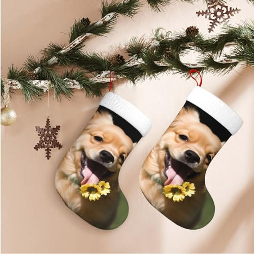 WSOIHFEC Weihnachtsstrümpfe mit niedlichem Hund, lustiger Druck, weich, zum Aufhängen, 1 Stück, 45 cm, große Weihnachtssocken für Weihnachten, Familie, Kamin, hängende Dekoration