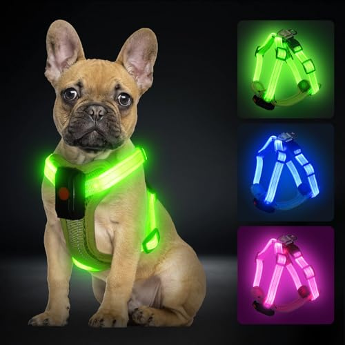 PZRLit Hundegeschirr Leuchtend Aufladbar für kleine Hunde, Leuchtgeschirr für S Hunde, Reflektierend LED Geschirr für Welpen für sicheres Gehen in der Nacht-Grün