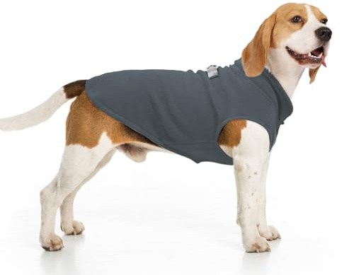 BEAUTYZOO Fleeceweste für Hunde – Winterjacke mit Kapuze und D-Ring für Leine – Warmes Mantelchen für kleine und mittelgroße Hunde