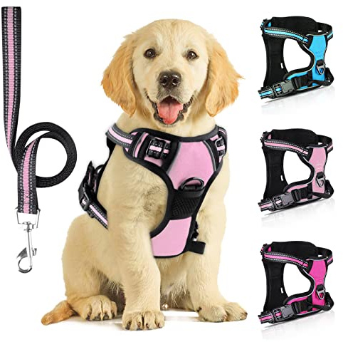 Harnais Chien, Réfléchissant Harnais Anti Traction pour Chien,Bébé Rose,M | avec Laisse pour Chien, pour la Course à Pied, la Marche et le Jogging