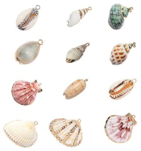 NUOBESTY 12St Natürliche Muschel Anhänger Muscheln Charme Strand Schmuck Herstellung Schale Shell-Schmuckteile für Halskette Schnalle