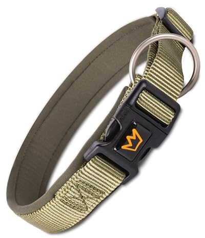 Rudelkönig Hundehalsband Bella - Gepolstertes Nylon Halsband Hund | Weiches Neopren-Innenpolster, robustes Nylon-Außenband, verstellbarer Verschluss – ideal für kleine Hunde