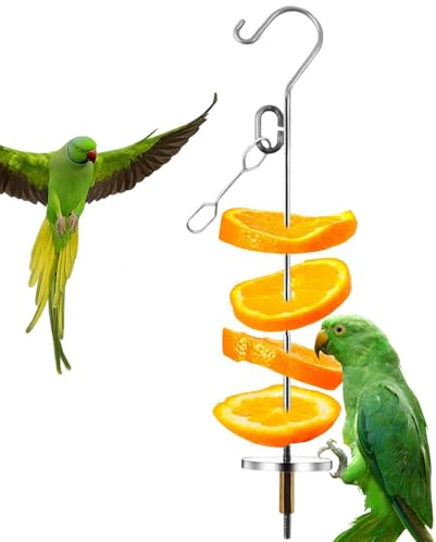 Protoence Porte-Fruits pour Oiseaux - Brochette à Fruits en Acier Inoxydable pour Oiseaux,Jouet D'Enrichissement pour Cage Et Décoration Intérieure pour Perruches, Canaris, Conures Et Perroquets
