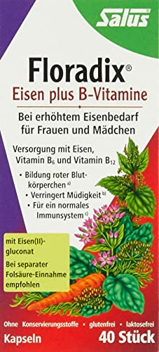 Floradix Eisen plus B-Vitamine Kapseln, 40 St.