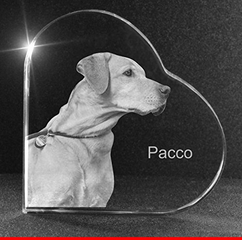 VIP-LASER 2D Gravur Glasherz L mit Deinem Hundefoto Hund graviert!. Dein Wunschfoto für die Ewigkeit Mitten in Glas! Groesse L = 60x60x19mm