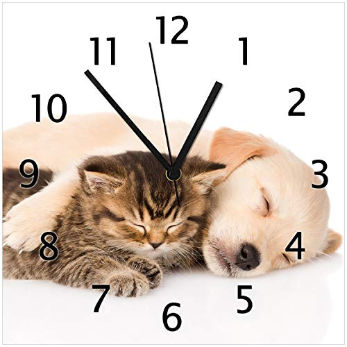 Wallario Design-Wanduhr Katze und Hund in Harmonie - Kuschelnde Tiere aus Glas, Motiv-Uhr Größe 30 x 30 cm, Schwarze Zeiger