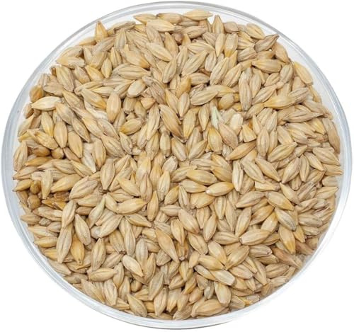 Leimüller Orzo da birra, 25 kg, mangime per uccelli, colombe, polli, orzo